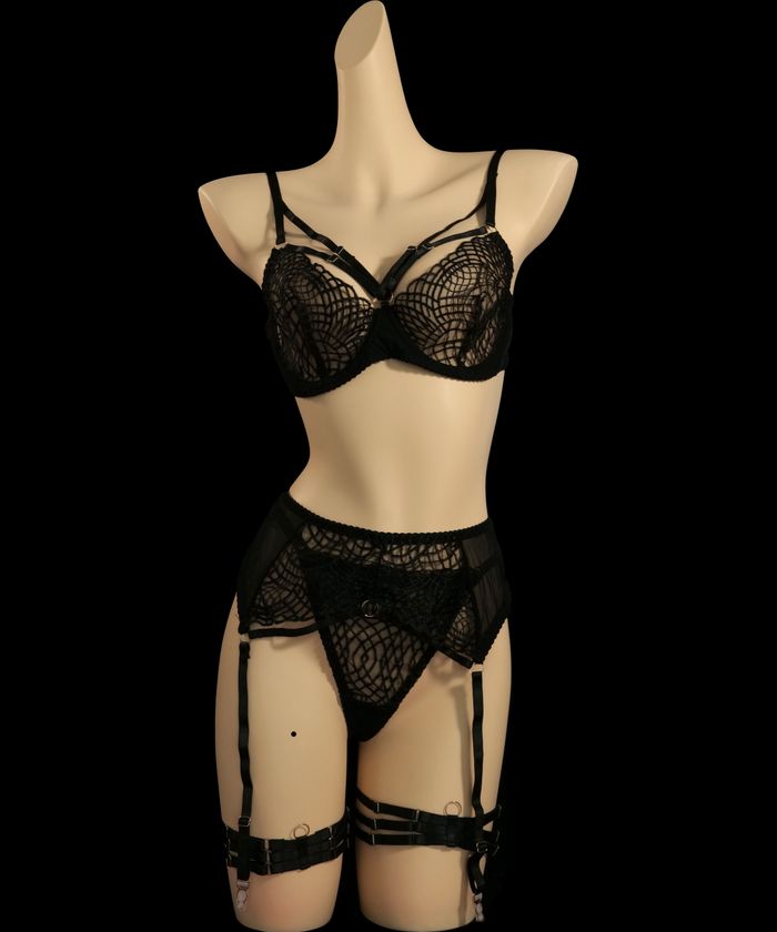 Black Sheer Floral Embroidery Lingerie