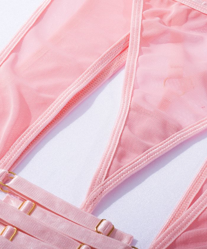 PinkTransparentHigh-WaistLingerie