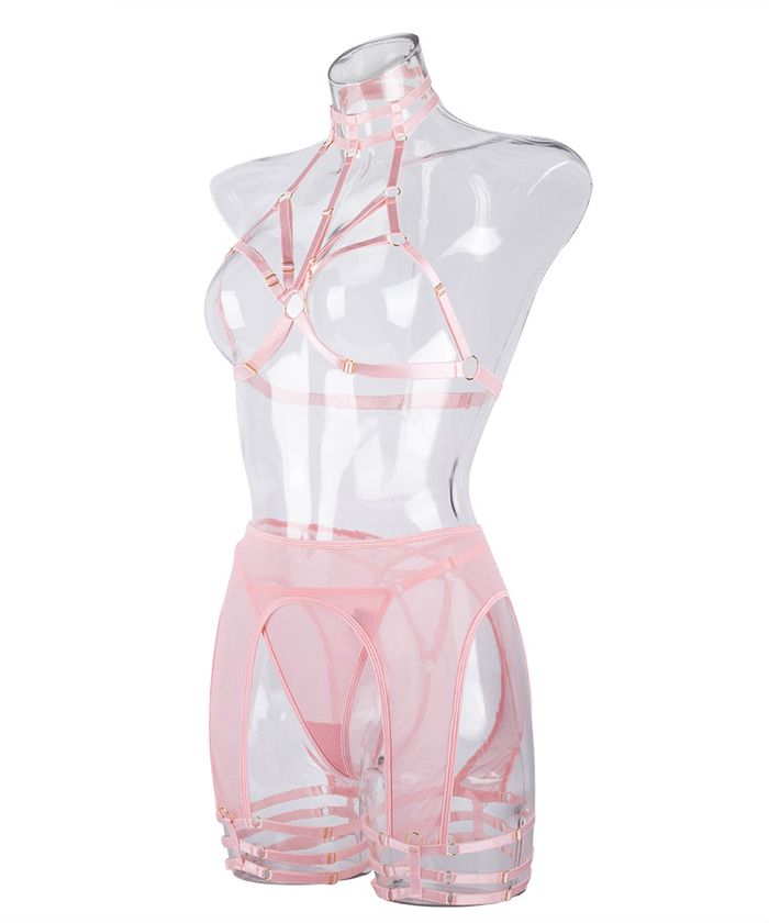 PinkTransparentHigh-WaistLingerie