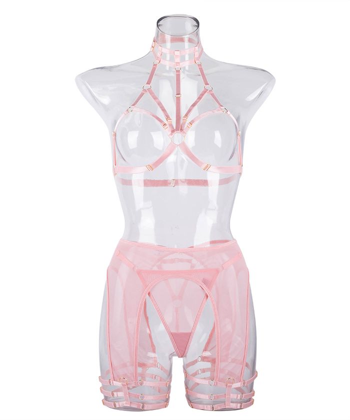 PinkTransparentHigh-WaistLingerie