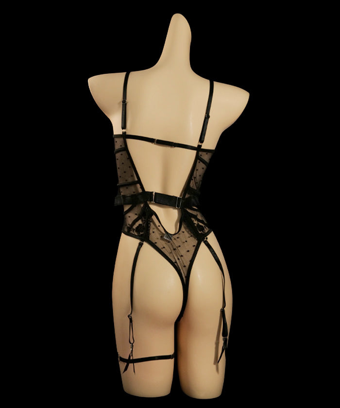 Sleek Sheer Panel Lingerie